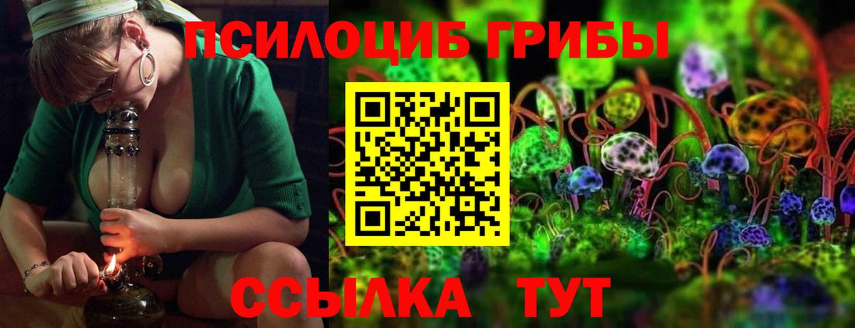 Зеленодольск  цена   Вход с VPN  Галлюциногенные грибы мицелий 